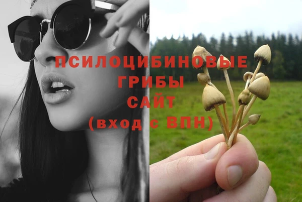 ешки Алзамай