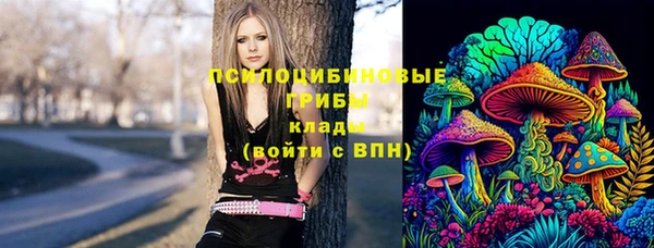 дмт Алексеевка