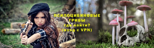 дмт Алексеевка