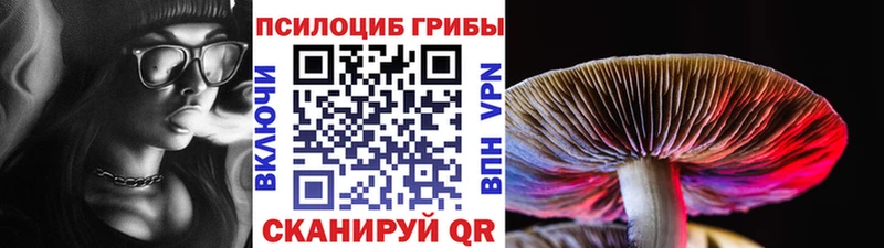 Галлюциногенные грибы Psilocybine cubensis  купить   Алупка 